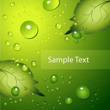 Water drops on green background. clipart