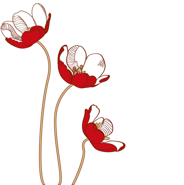 Vector red tulips. Vector illustration. 
