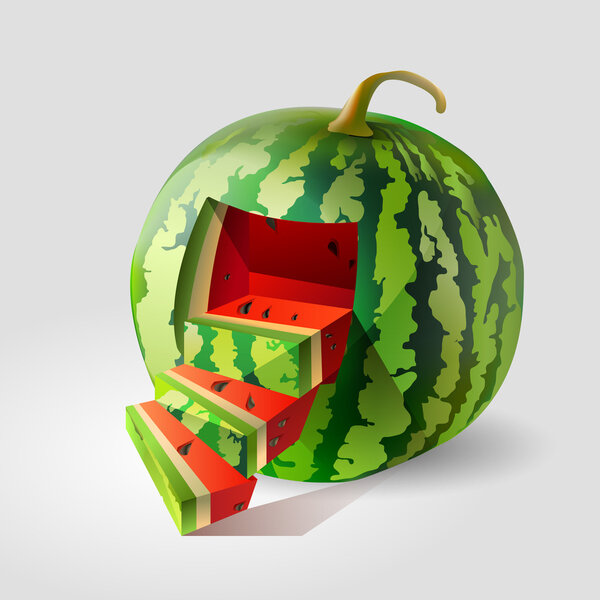 Vector illustration of a watermelon.