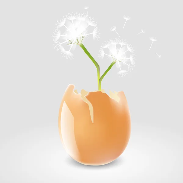 stock vector Vector illustration of a dandelion in eggshell.