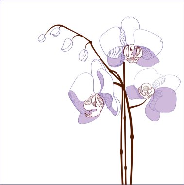 Elegance branch of purple orchids - vector illustration clipart