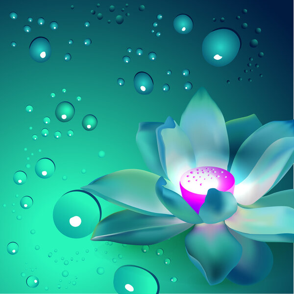 Vector flower with bubbles