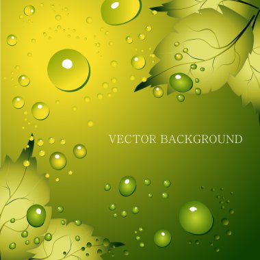 Green leaf natural background - vector illustration clipart