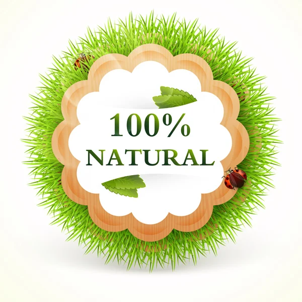 Promo Sticker Vector Natuurlijke — Stockvector