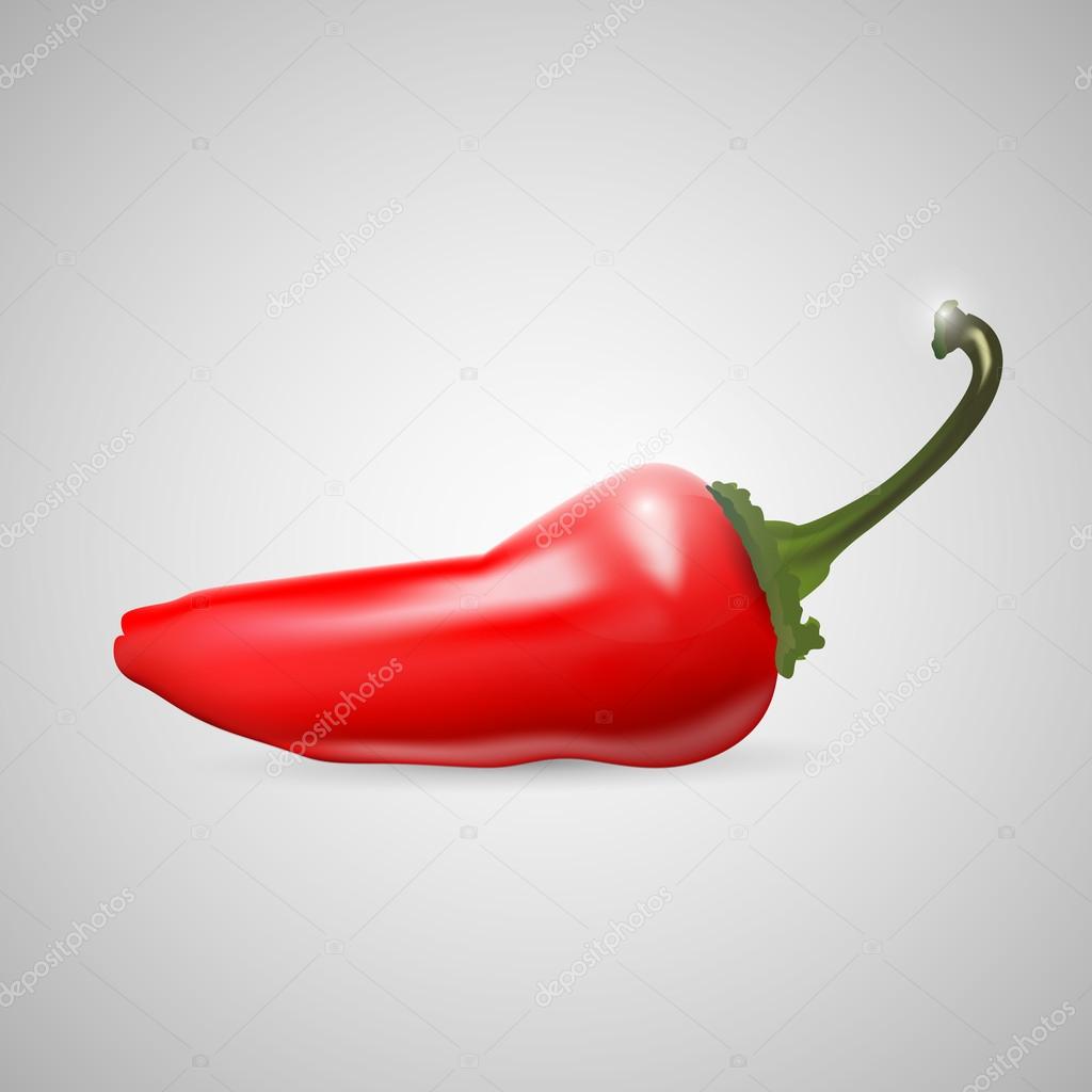 Red Hot Chilli Pepper - Vector Illustration