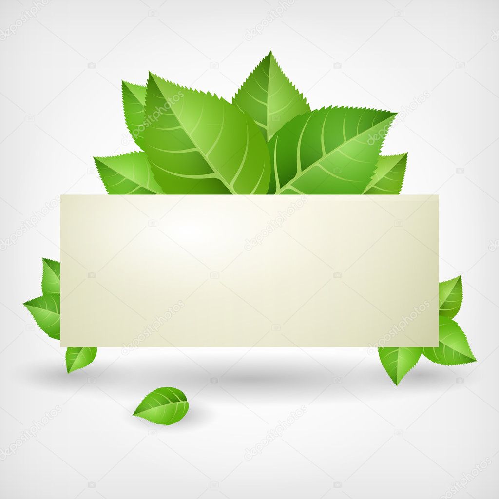 Green leaves. Vector illustration. 