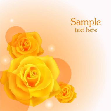Yellow roses background. Vector illustration.  clipart
