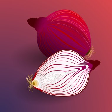 sliced onions on a red background clipart