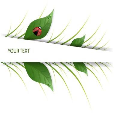 Green leaves design with ladybug clipart