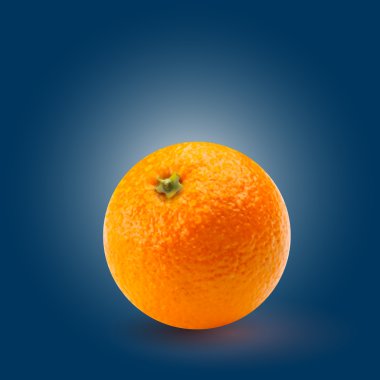 Vector illustration of orange clipart