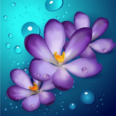 Illustration of violet lotuses clipart