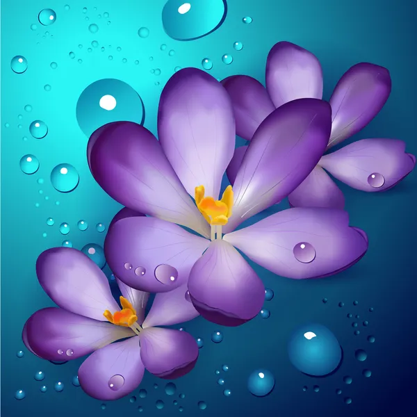 Illustration Violet Lotuses — Stock Vector