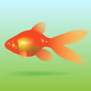 Goldfish is located on a green blue background. Vector illustration clipart
