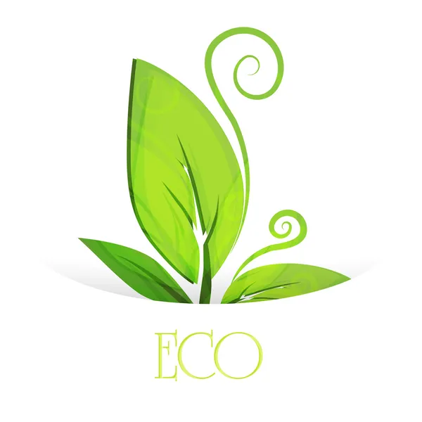 Eco Leaves Vector Design — Stock Vector