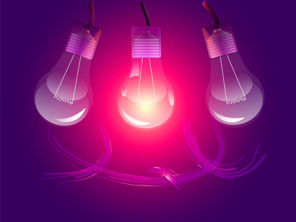 Vector stylish conceptual digital light bulbs design