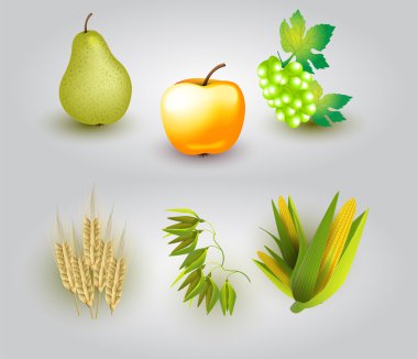 Group of fruit and some ears of wheat. Vector illustration. clipart