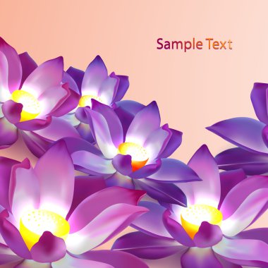 Vector floral background with violet lotuses and place fro text clipart