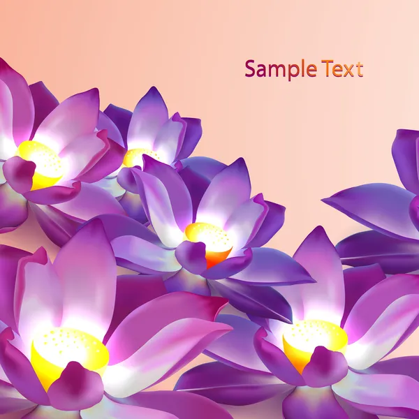 Vektor Floralen Hintergrund Mit Violetten Lotusblüten Und Platz Für Text — Stockvektor