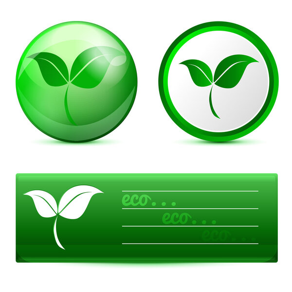 Eco banner with buttons. Vector illustration.