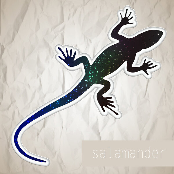 Abstract salamander. Vector illustration.