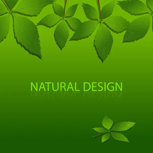 Diseño Vectorial Naturaleza — Vector de stock