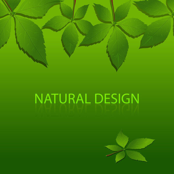 vector design of Nature