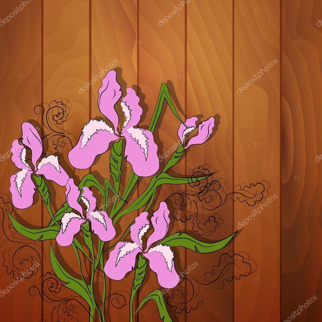 Iris flower vector image on wooden background
