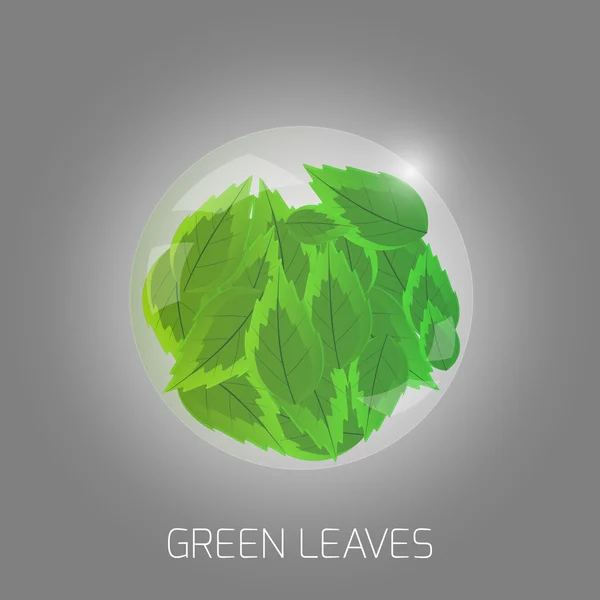 Ilustrace Zelených Listů — Stockový vektor