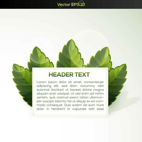 Векторное знамя с травой
