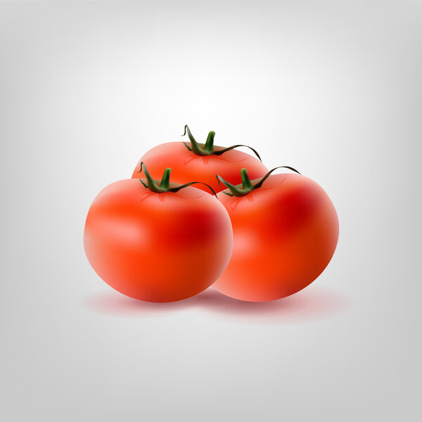 Three vector tomatoes,  vector illustration 