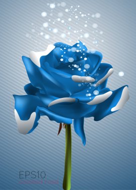 Beautiful blue rose, vector illustration clipart