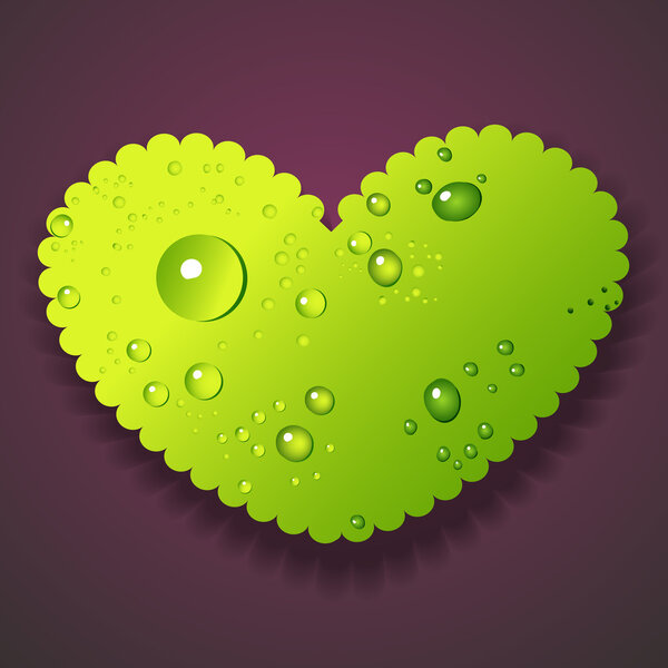Vector illustration of water drops heart