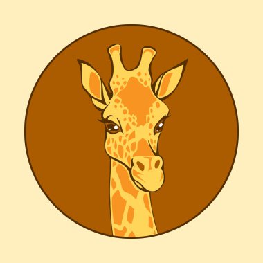 Head of a giraffe, vector illustration clipart