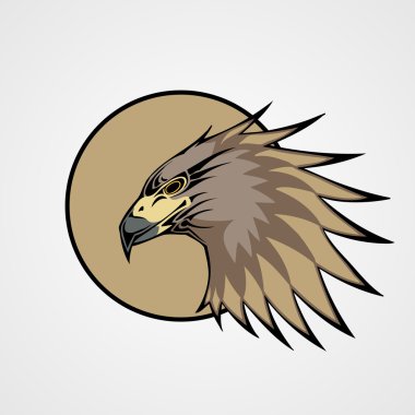 Head of a hawk, vector illustration clipart