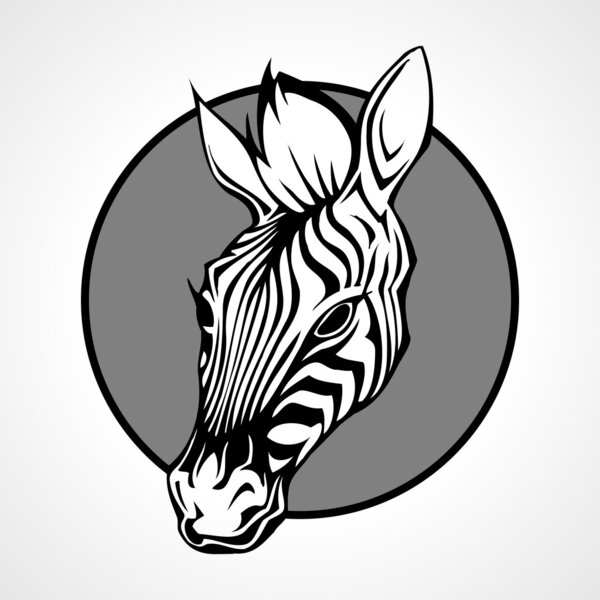 Head of a zebra, vector illustration