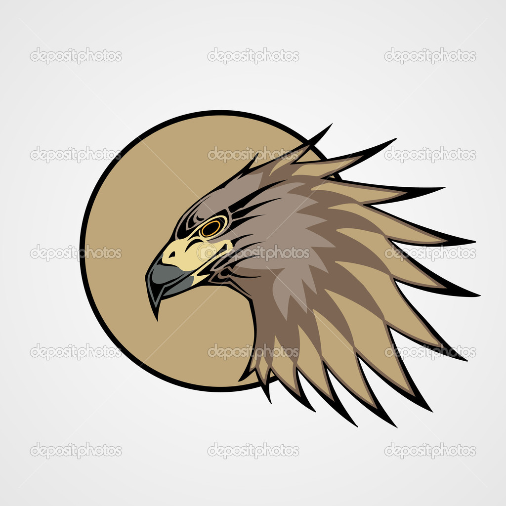 Head of a hawk, vector illustration