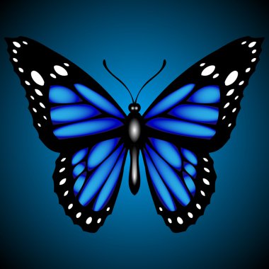 Blue butterfly on dark background, vector clipart