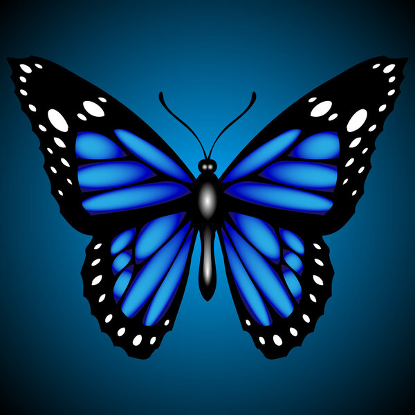 Blue butterfly on dark background, vector