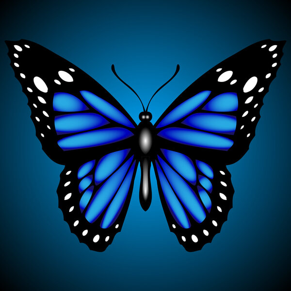 Blue Butterfly Dark Background Vector — Stock Vector