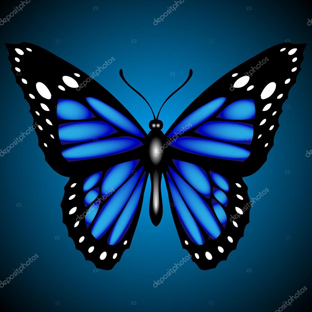 Blue Butterfly Dark Background Vector Stock Vector Image by  ©ClassyCatStudio #21136857