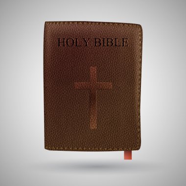 Holy Bible vektör çizim vektör 