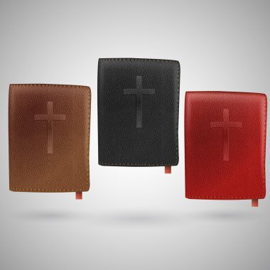 Set of Vector Holy Bibles clipart