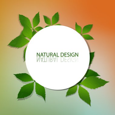 Vector Natural Design Frame clipart