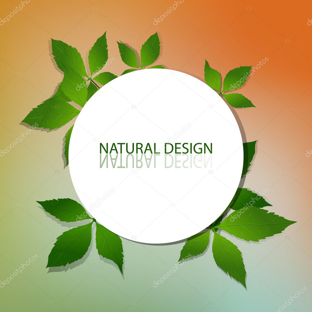 Vector Natural Design Frame