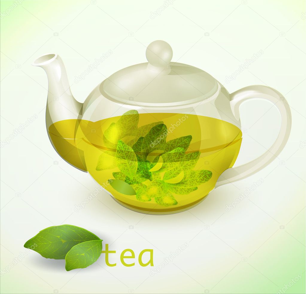 Vector transparent teapot vector illustration 