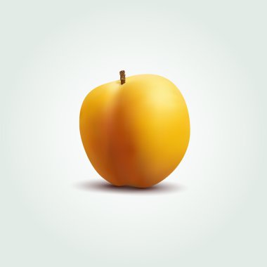 Vector peach vector illustration  clipart