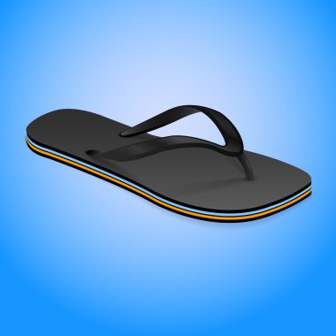 Thongs shoe, slipper on blue background, vector clipart