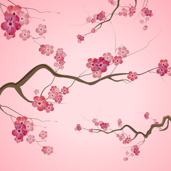 Branches with pink spring flowers