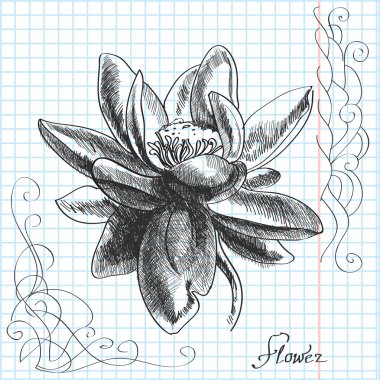 vector hand drawn illustration of a flower clipart