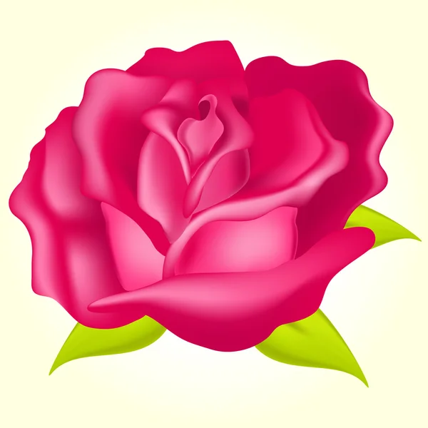 Όμορφο Τριαντάφυλλο Διανυσματικά Εικονογράφηση — Διανυσματικό Αρχείο